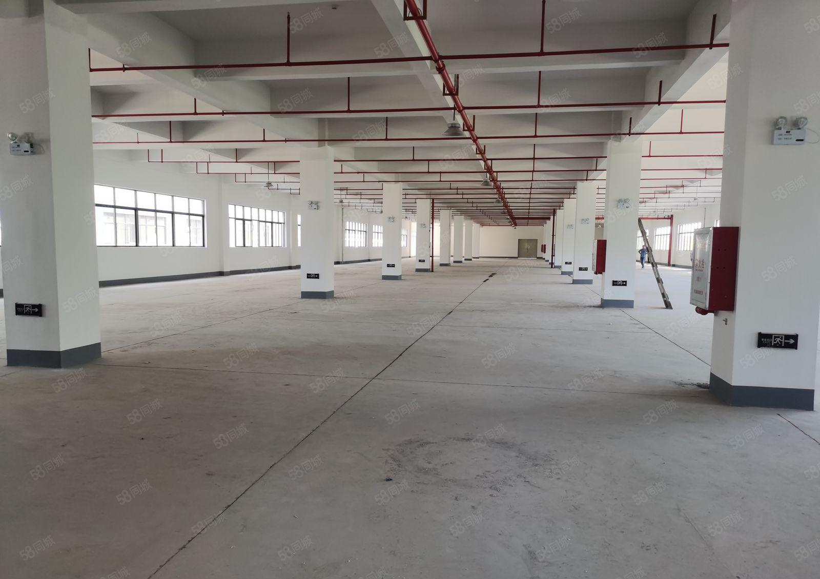 陈江东升工业区全新十万平米红本产权工业园招租！分租一千平米起