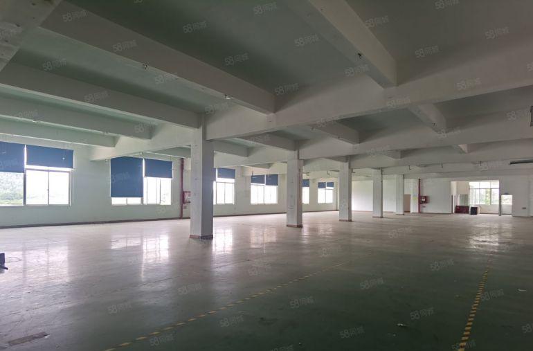 陈江独院厂房10000平米层高一楼6米可按层分租2000平米