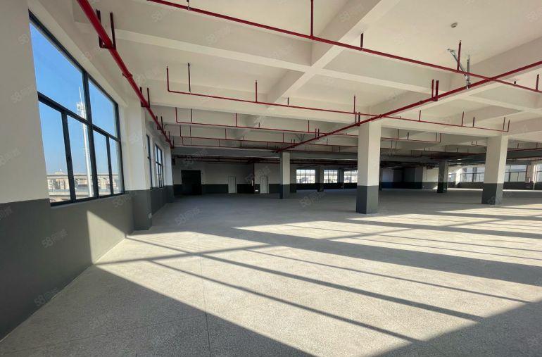 惠环特价12元急租2000平带装修红本全新合同年限