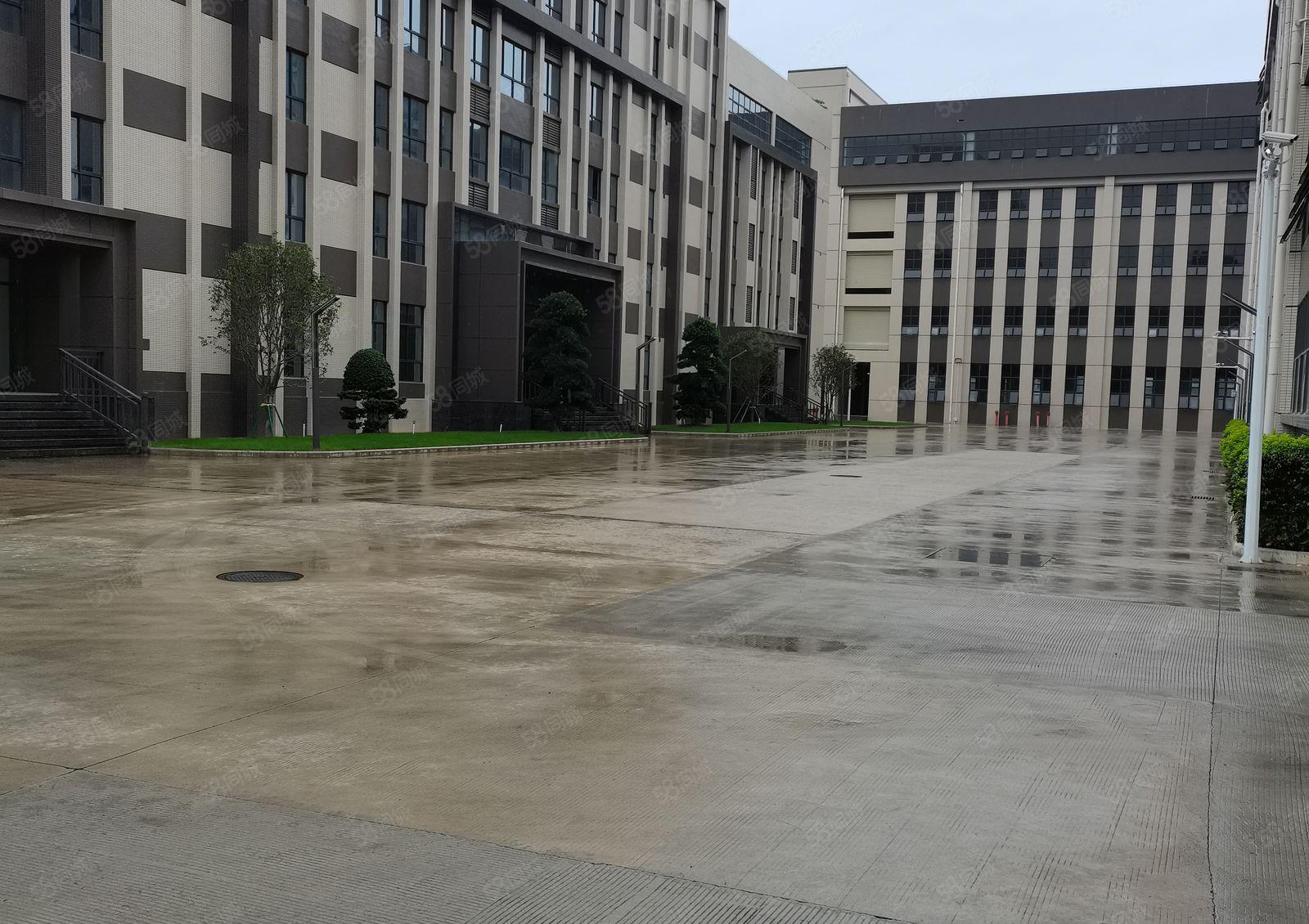 仲恺全新高新科技园三楼2000平米厂房仓库出租可办环评原房东