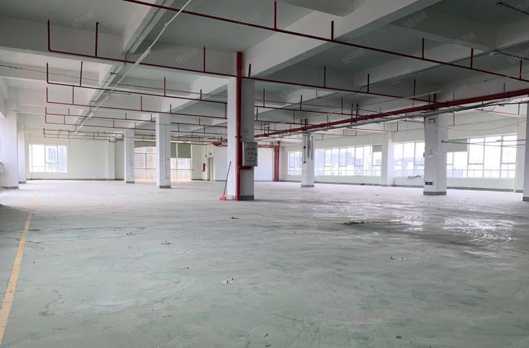 (9元)仲恺高新区红本厂房1500平出租形象好不限行业