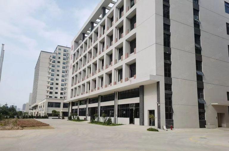 全新独院厂房仓库3000平出租，水电到车间，可分有红本。