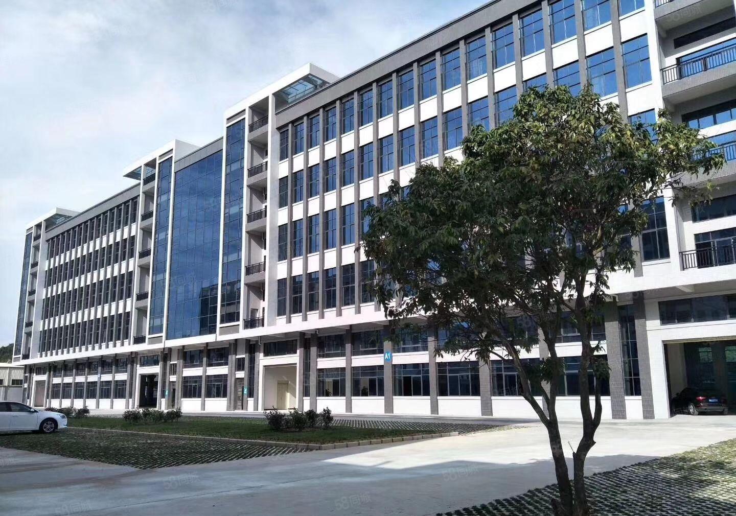 钜惠！陈江8000可分租 层高电子生物产业园厂房仓库出租