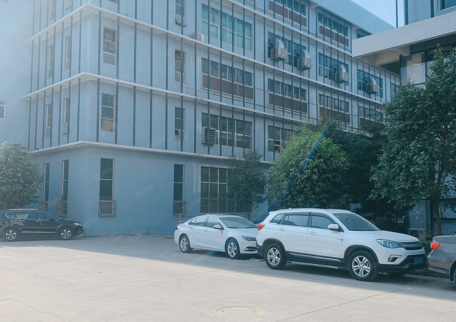 仲恺陈江原房东1000平精装修一楼高6米200仓库厂房出租