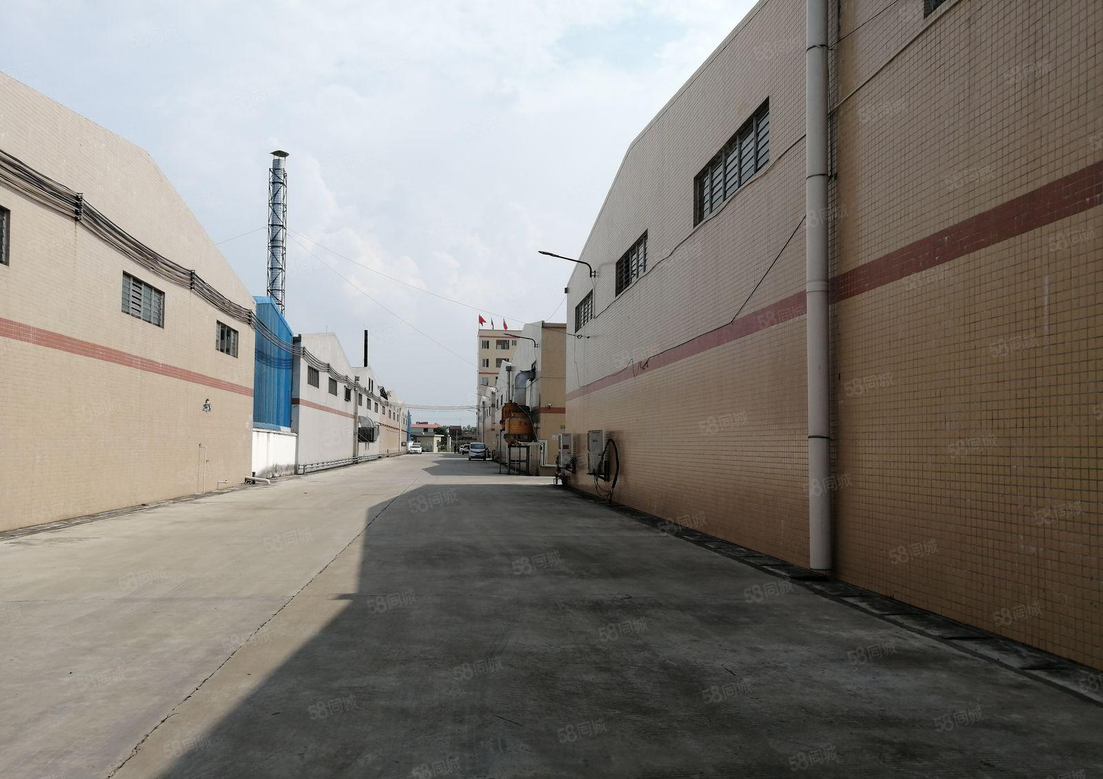 仲恺沥林宝鑫工业园厂房出租面积5000平可分租可办证