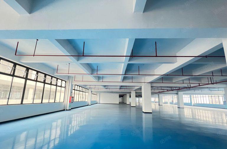 仲恺新出主干道旁边原房东2000平米厂房低价出租带装修可分租