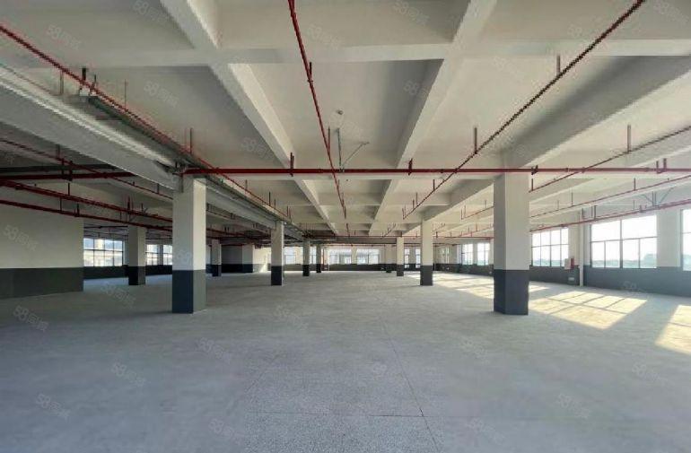 仲恺陈江，特价9.9元，实际面积出租免租期2个月