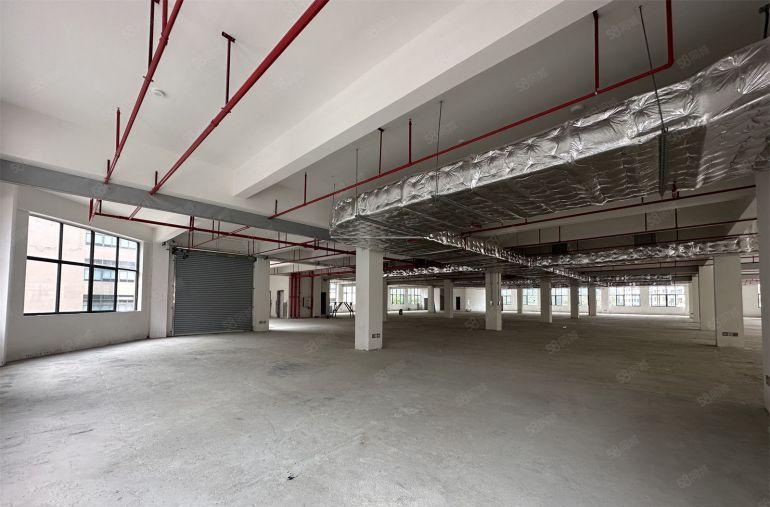 16000平全新红本厂房可分租原房东仲恺厂房轻轨站旁低价出租