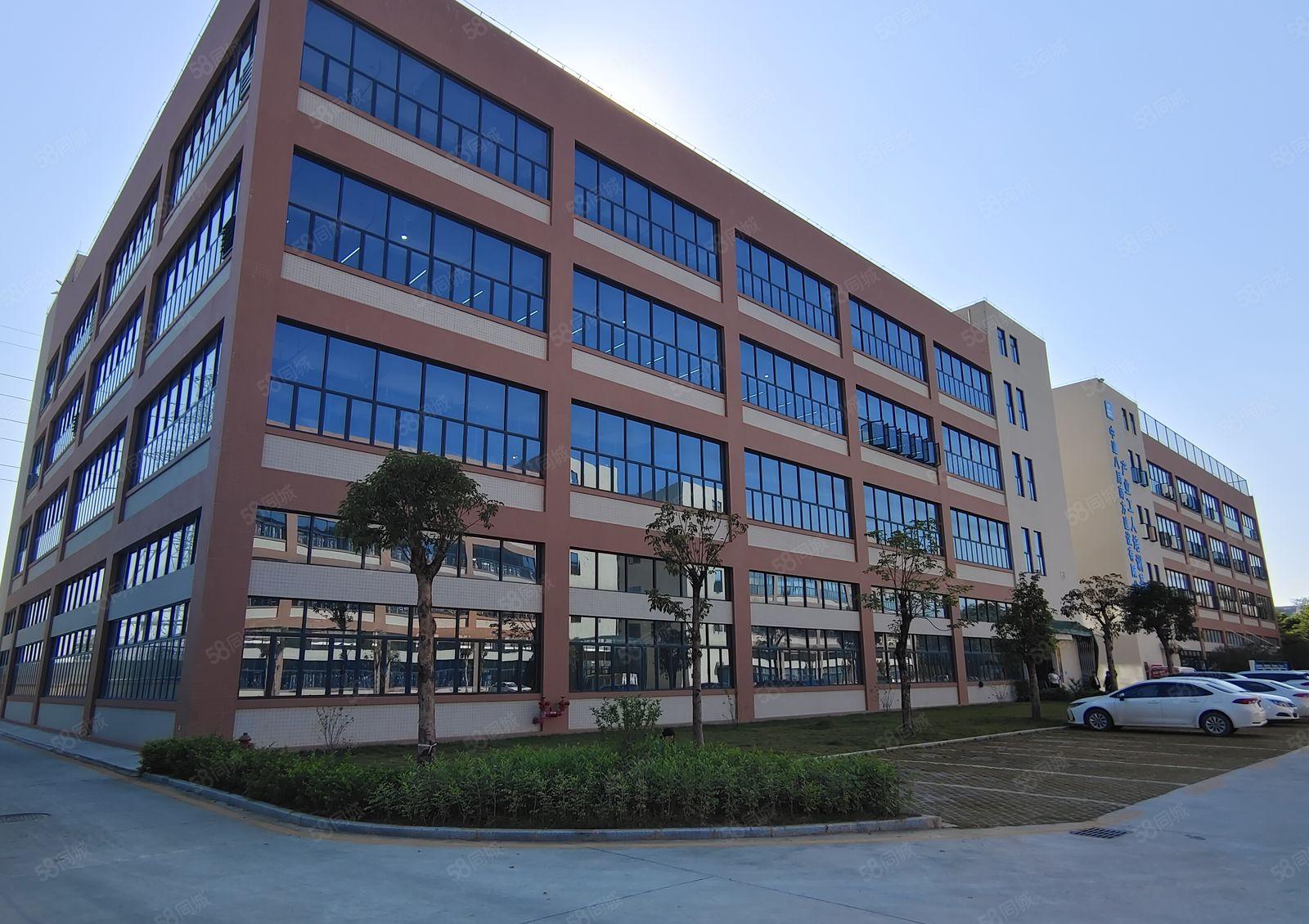 5百1千2千平租仲恺沥林原房东5万平红本厂房仓库出租可办环评