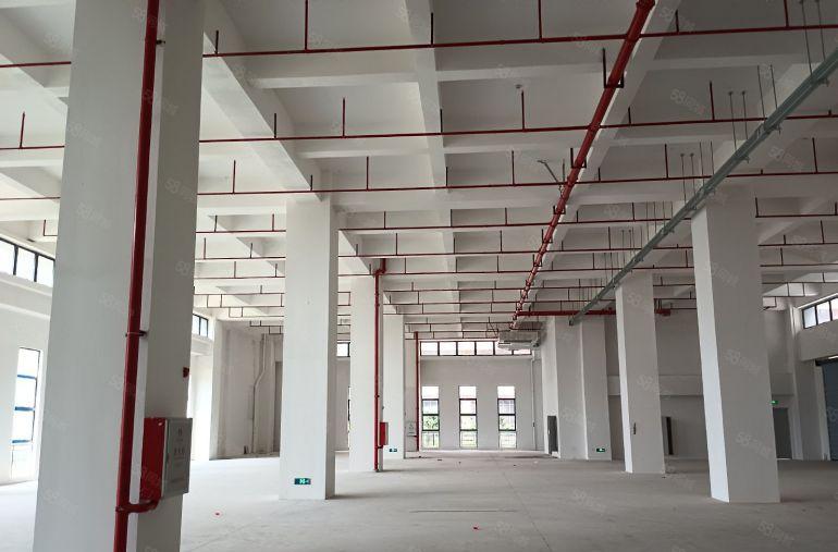 无公摊惠州惠环西坑陈江潼湖潼桥沥林周边厂房出租