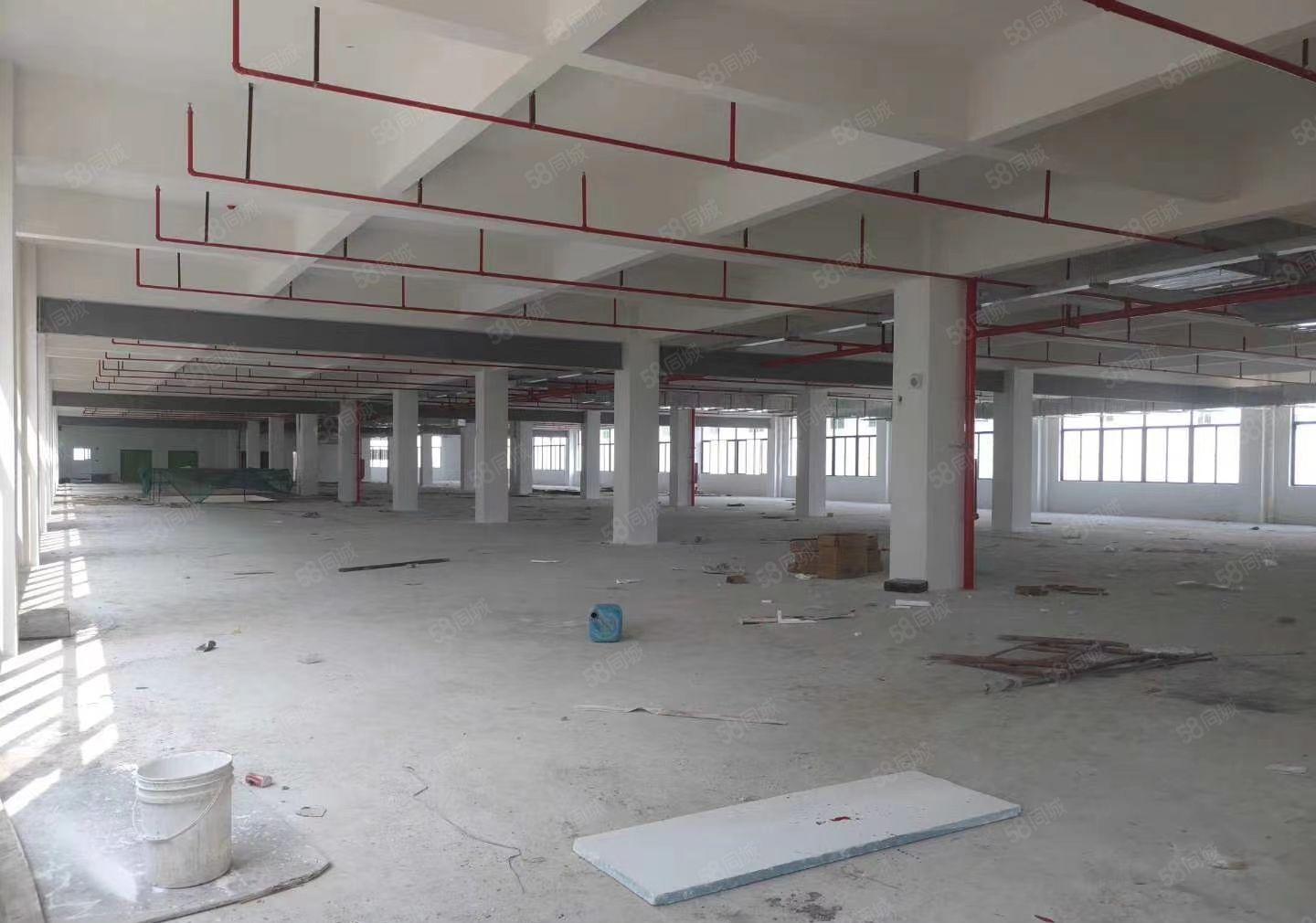 惠州市仲恺德赛高新区全新标准厂房65000方招租