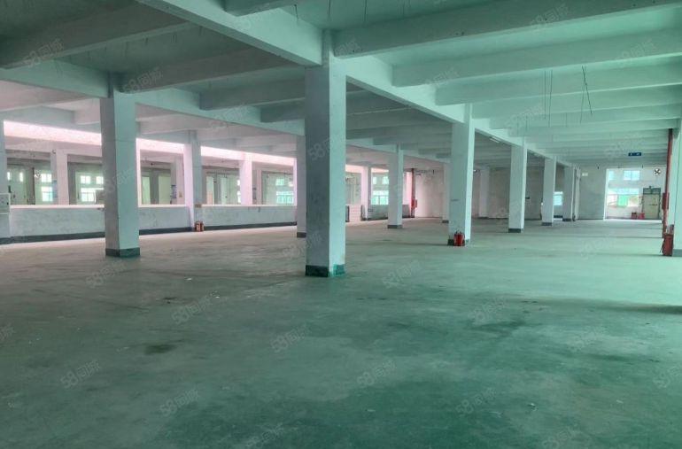 陈江超便宜价格7元厂房800平方起出租证件齐全