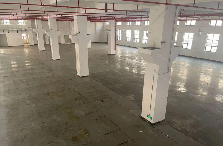 陈江平南原房东标准一楼7米高带牛角可分租500平方现房