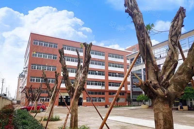 赠！免租期陈江区标准厂房10000平 电子生物产业园 带红本