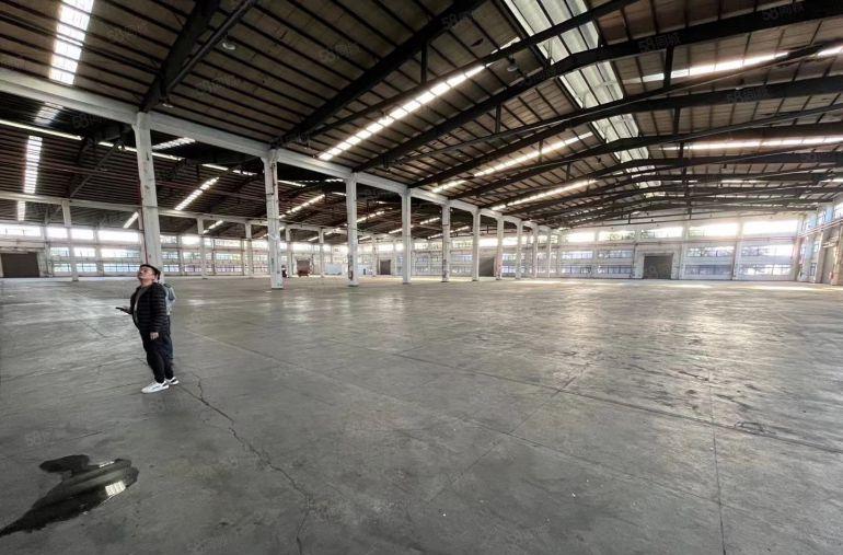 陈江红本工业厂房16000平方，滴水12米，带卸货平台