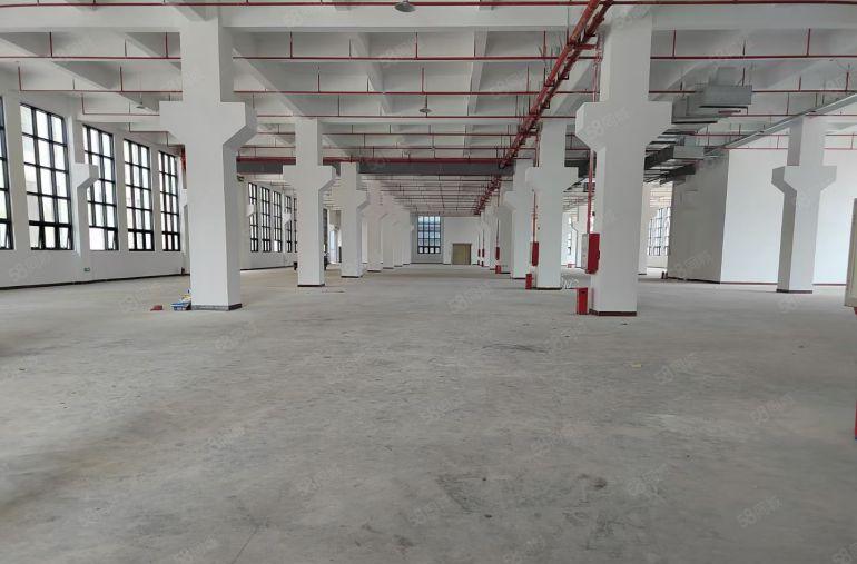 厂房出租全新红本厂房58000平低价招租一楼层高7米带牛角