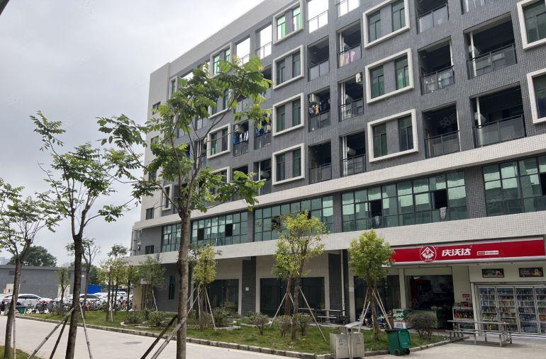 11元特价出租仲恺新出楼上800平带地坪漆厂房仓库低价出租