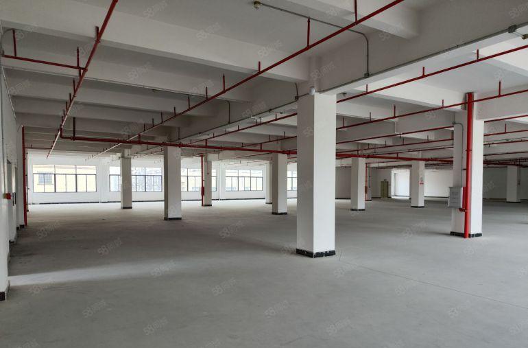 惠州市全新红本厂房10元起租面积1000平方起分