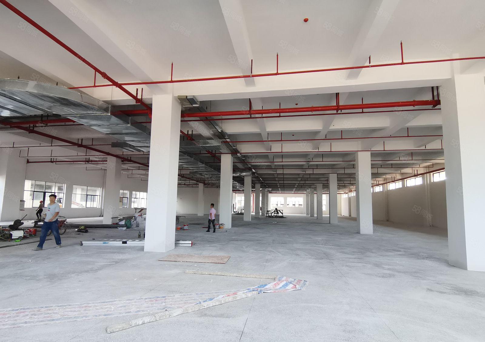 仲恺全新红本厂房42000平方三栋可分租