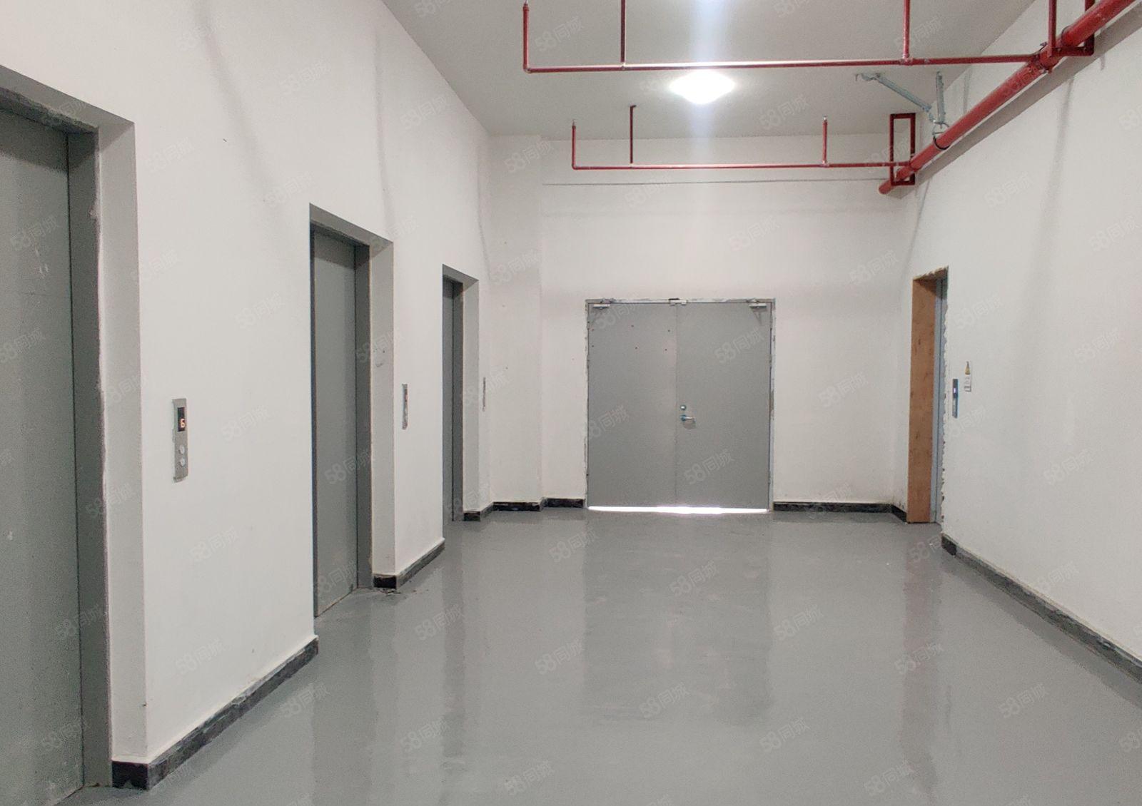 仲恺惠环原房东全新独院红本厂房直租1至9层每层2200平方