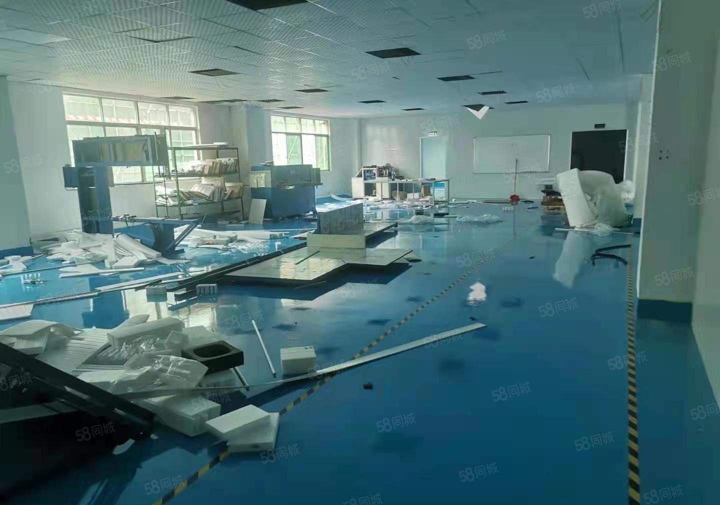 仲恺高新区潼侨原房东900平带装修厂房