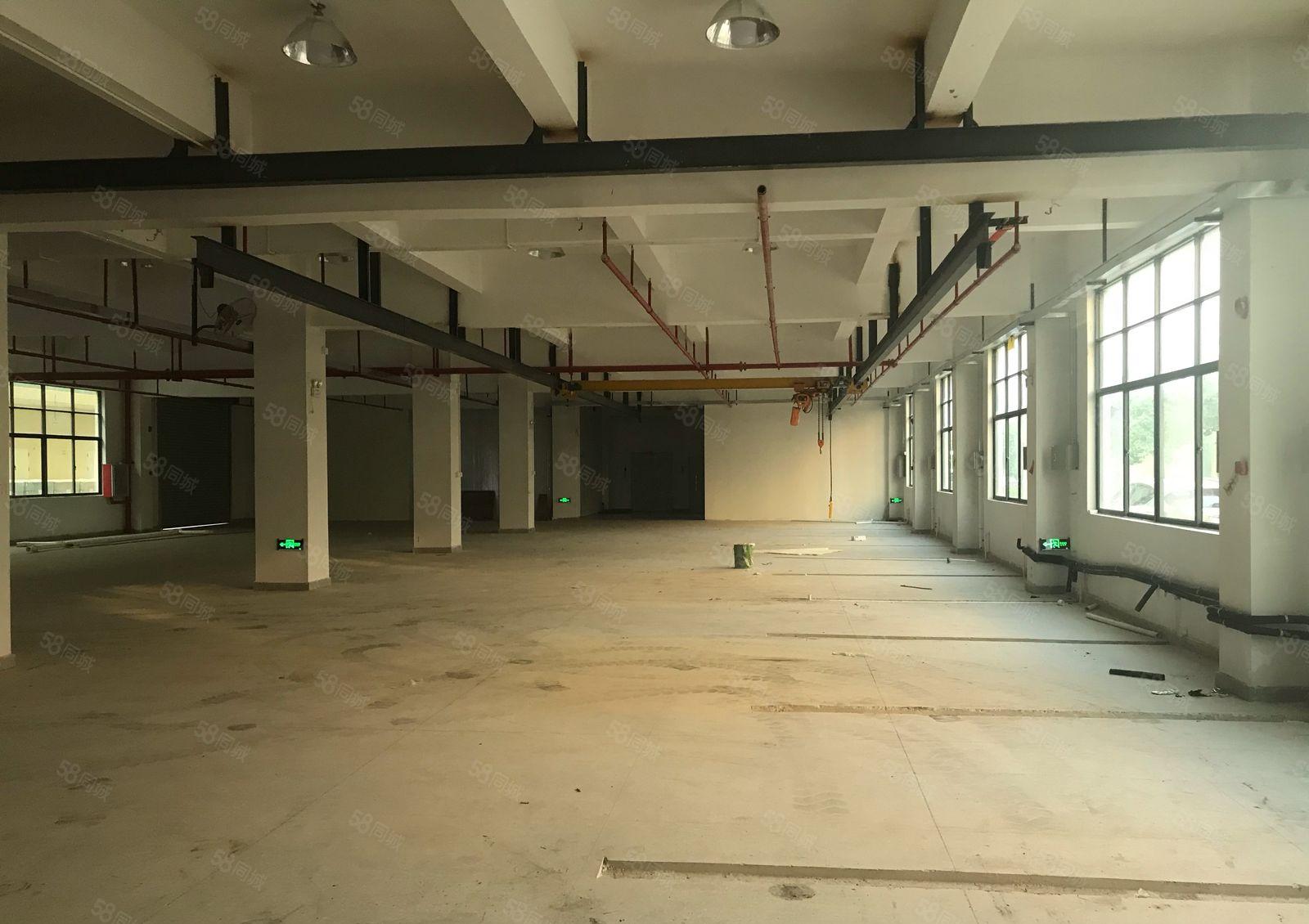 仲恺惠环工业区一二楼厂房600平1200平出租