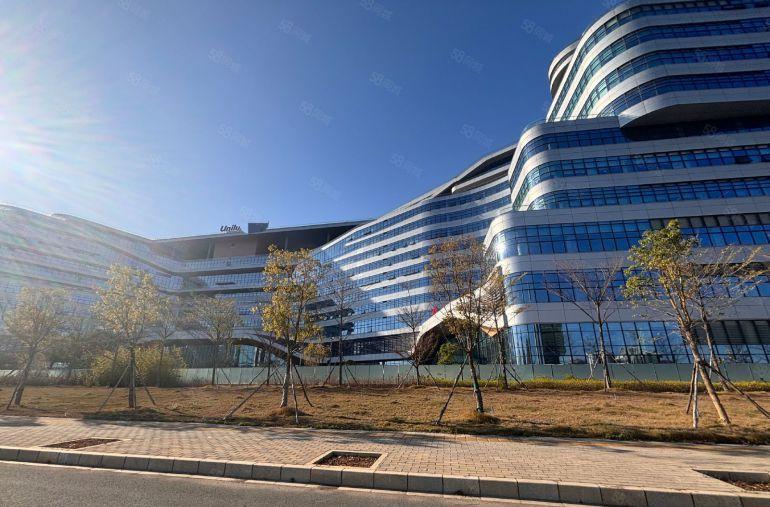 仲恺陈江A级形象厂房，原房东，1000平以上好分租，包隔墙