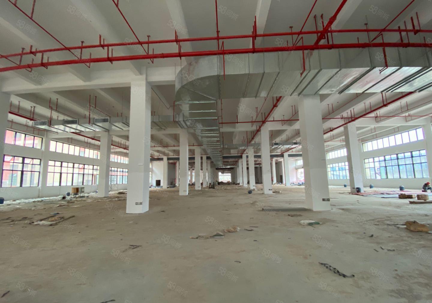 惠环镇新建红本厂房68000平方出租，证件齐全！可办环评