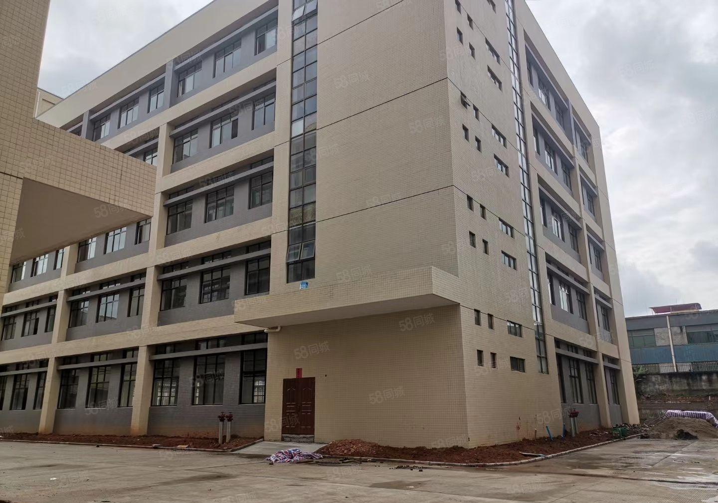 陈江大欣集团一楼标准厂房2000平招租可分租带红本可办环评