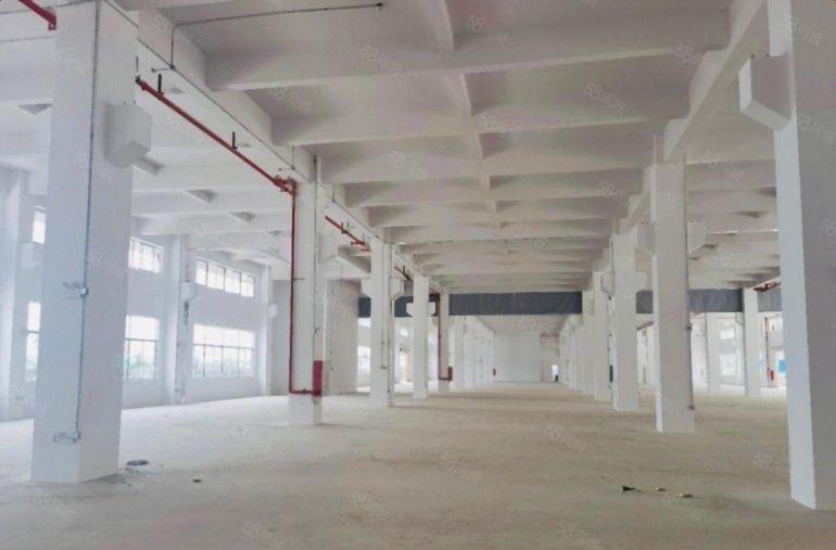 6元全新厂房出租，大小可分，原房东无公摊，不限行业