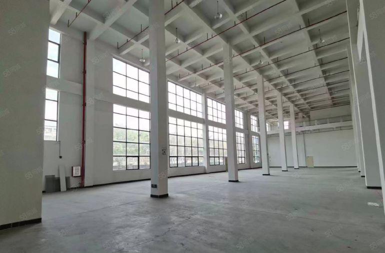 9元9元！仲恺惠环独门独院标准厂房仓库12,000平方出租