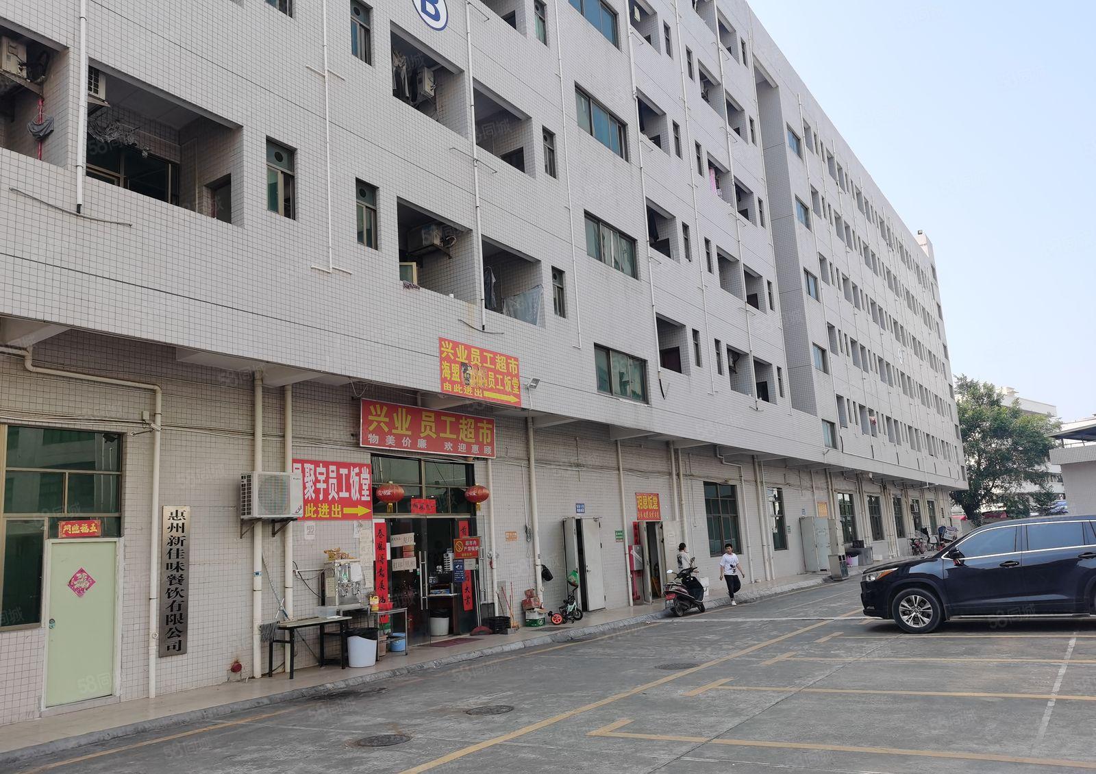 仲恺陈江小学2200标准一楼红本厂房仓库出租面积实量原房东