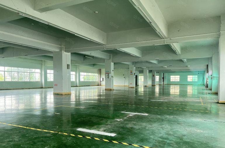 陈江原房东3000平小独栋厂房无公摊低价出租