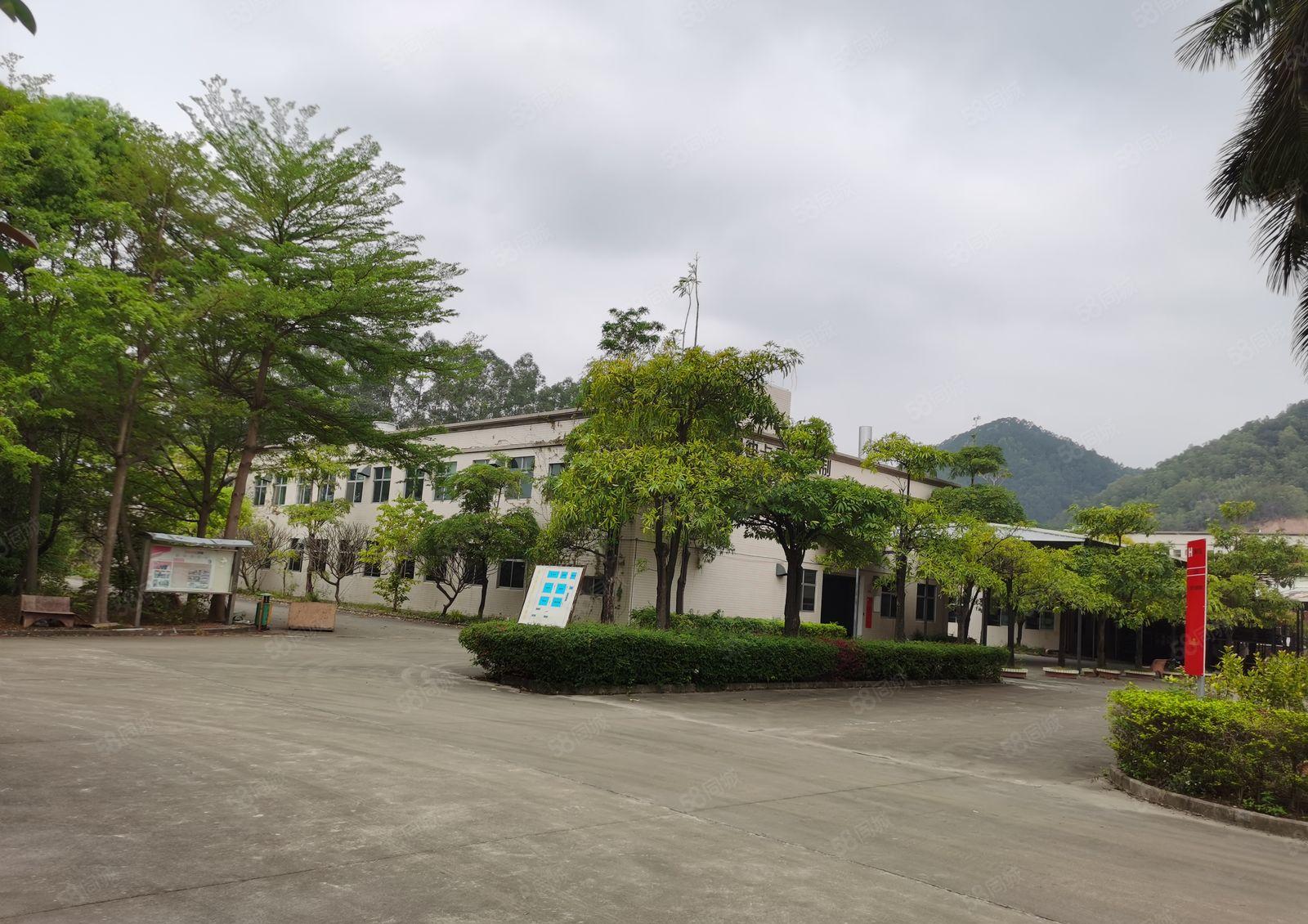 西坑工业区证件齐全单层独院厂房15000平米，分租一千平米起