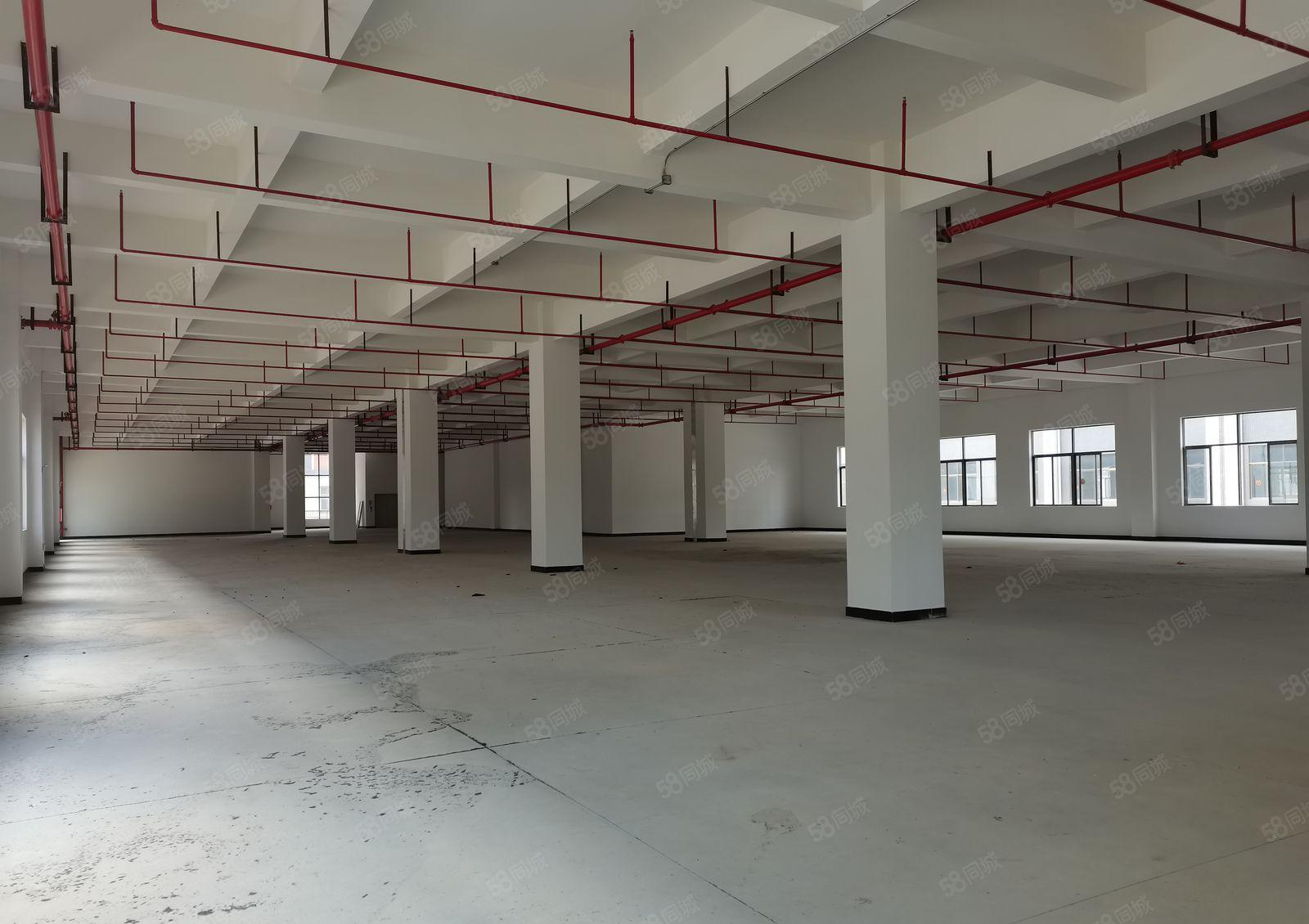 仲恺陈江高薪工业园12000平原房东独院厂房出租可租低价仓库