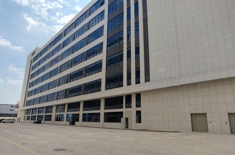 靠谢岗桥头一手房东全新红本厂房，可以分租