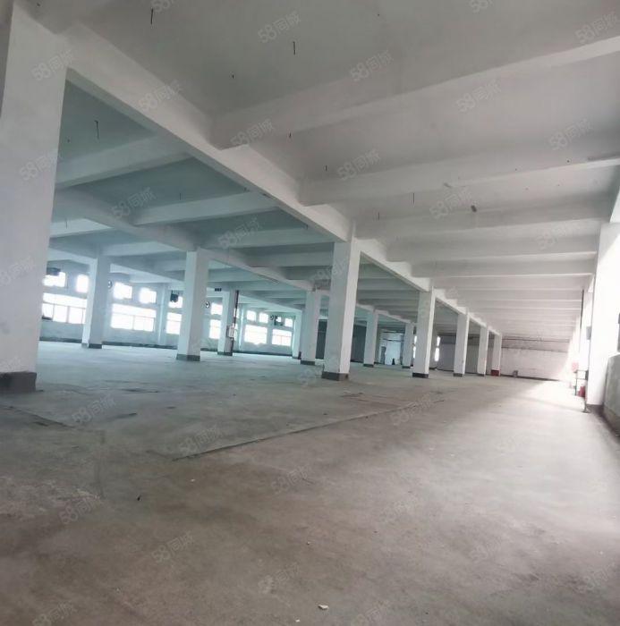 陈江超便宜价格7元厂房800平方起出租证件齐全