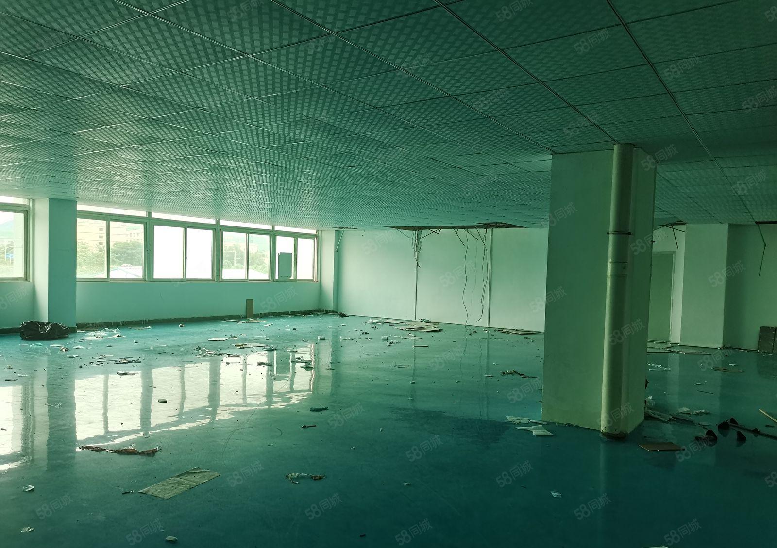 平南高速路口原房东厂房1000平方带无尘车间