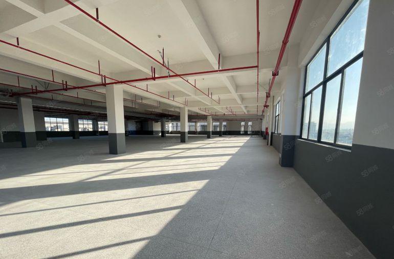 仲恺沥林900平特价房10原房东实际面积 无公摊全新红本