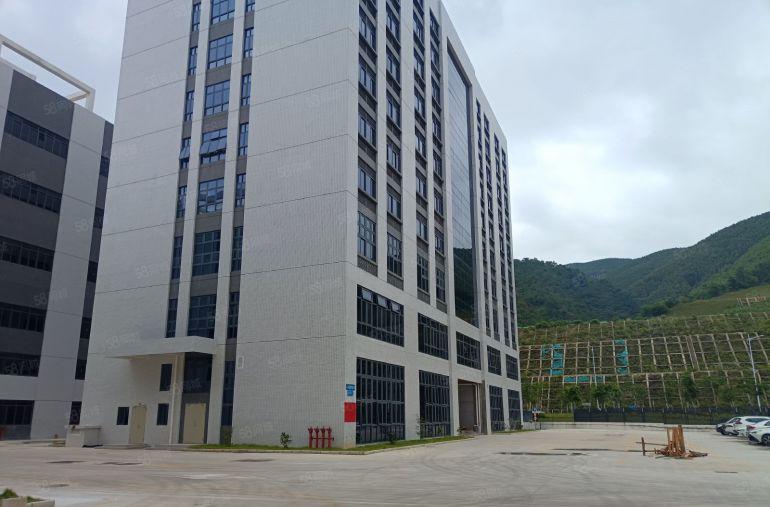 仲恺原房东全新红本重工业独门独院60000平米厂房出租可分租