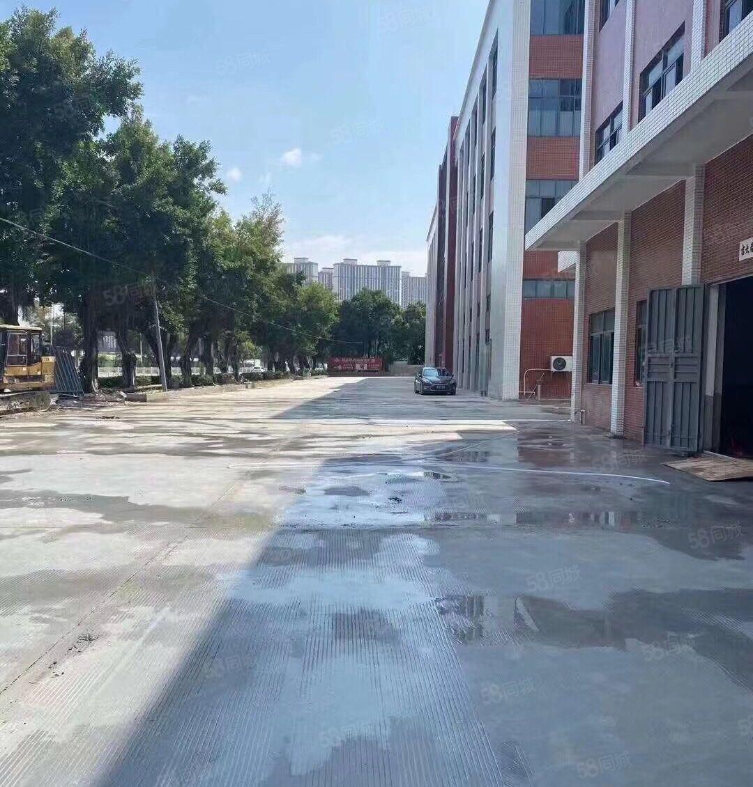 仲恺平南工业区新空出一楼标准厂房1200平方7米高带牛角