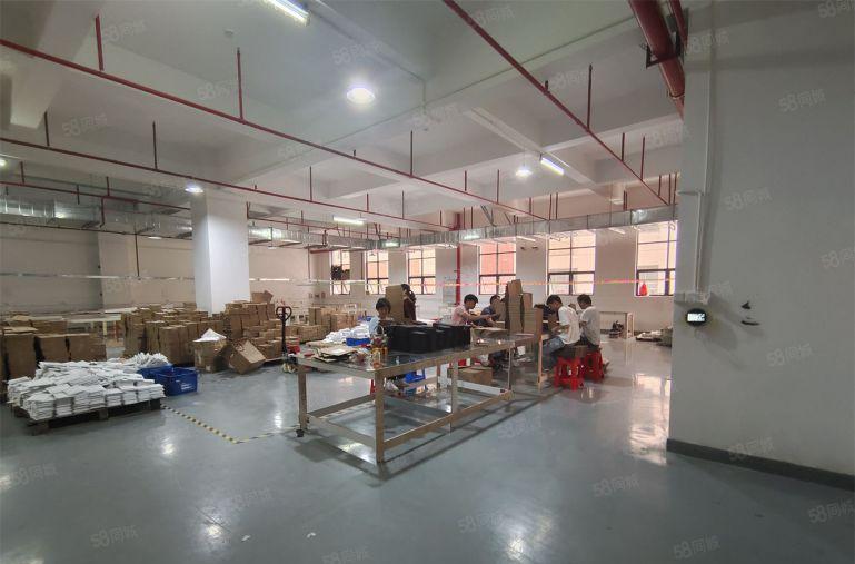 陈江7元厂房火爆招租错过拍大腿证件齐全带装修空地大