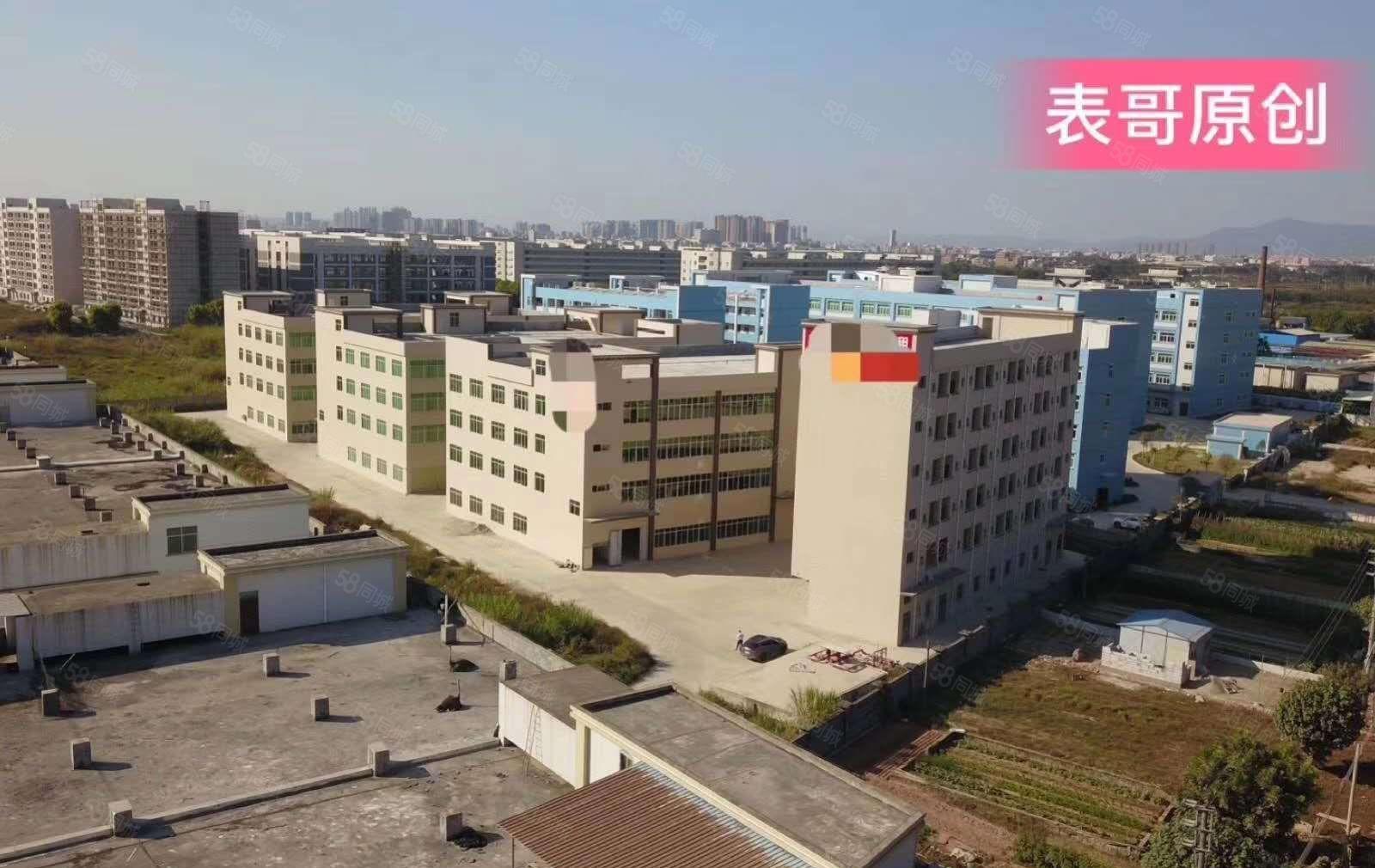 惠州市仲恺高新区全新标准厂房独门独院32500平方招租