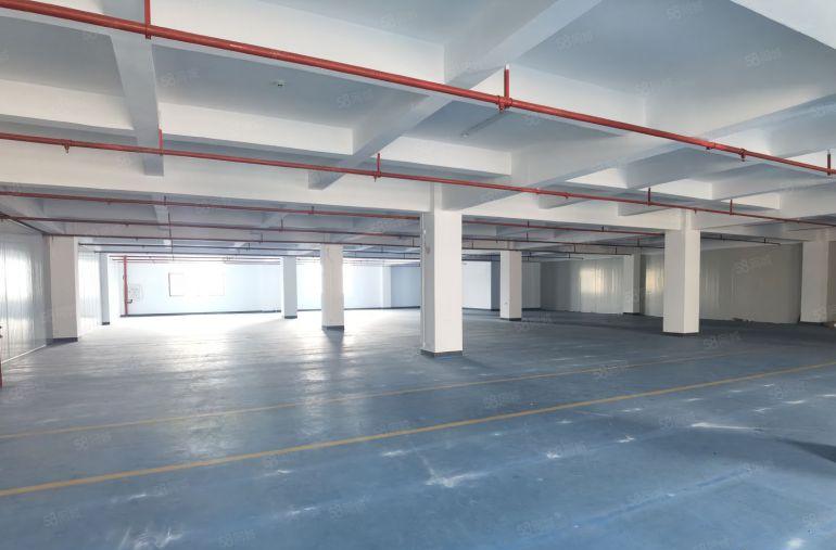 单层2300平！仲恺惠环原房东精装修厂房仓库出租2300平