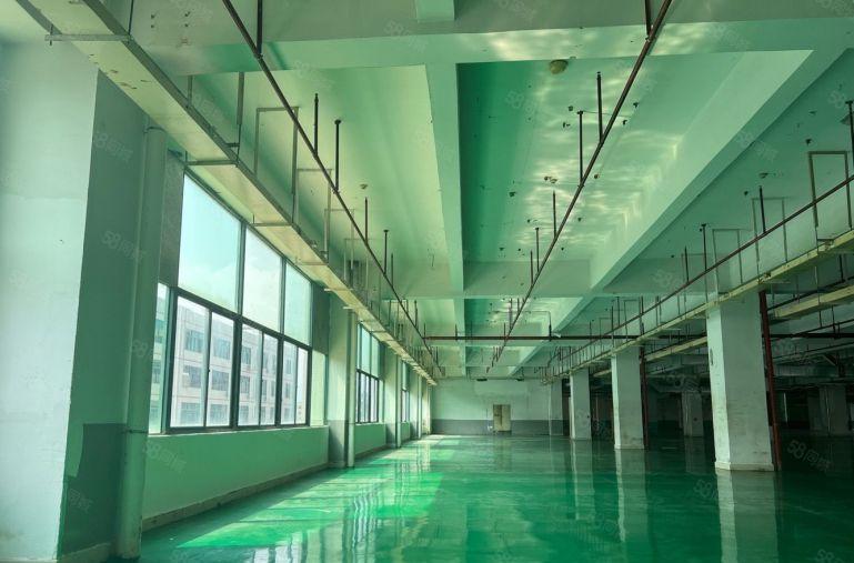 仲恺新出原房东9元精装修厂房仓库低价出租大小可分租水电齐全