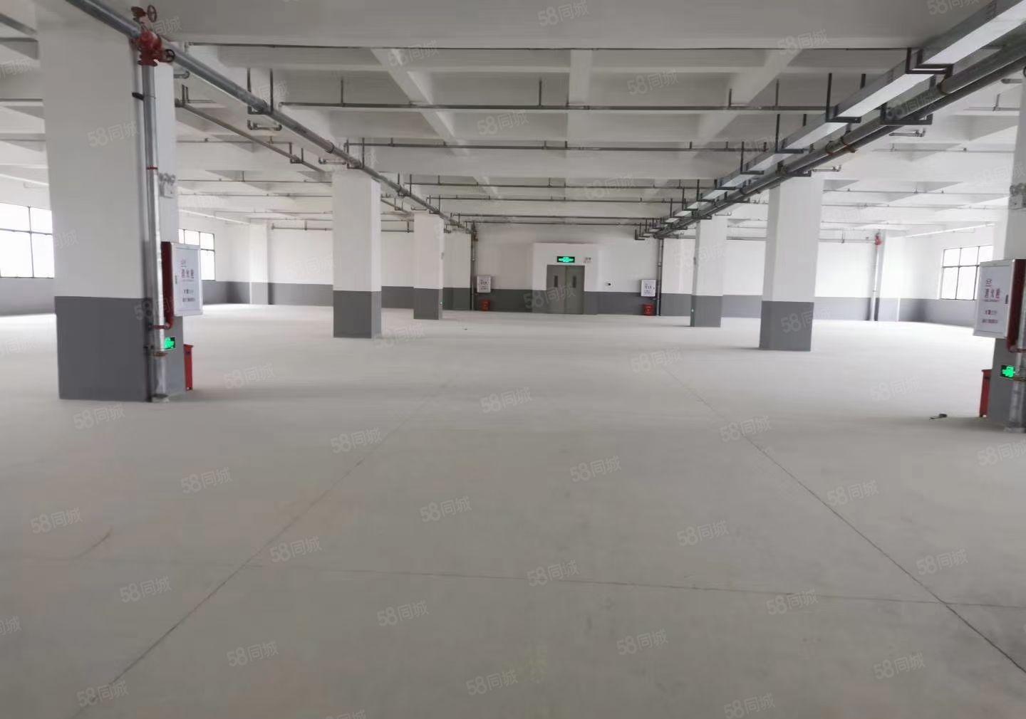 仲恺陈江镇东升村新建花园式厂房38万平方低价分租300起分