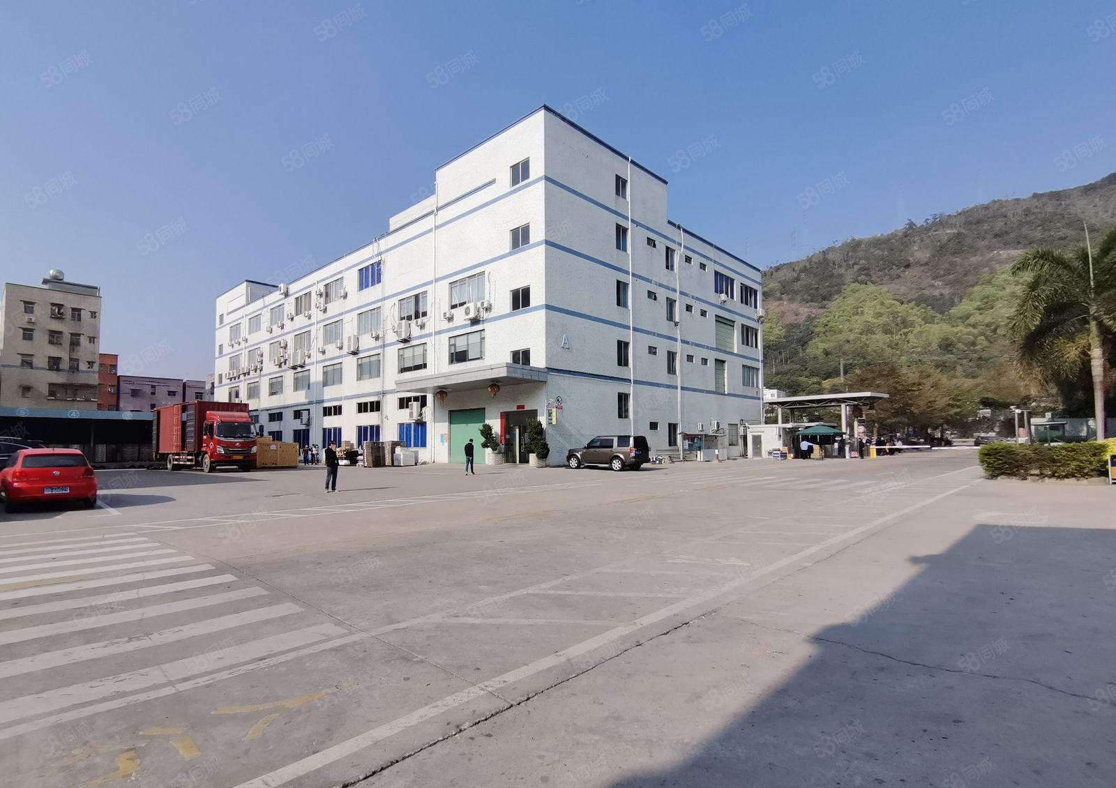 长深高速口国有工业生产厂房出租一次性拎包入驻大面积可选