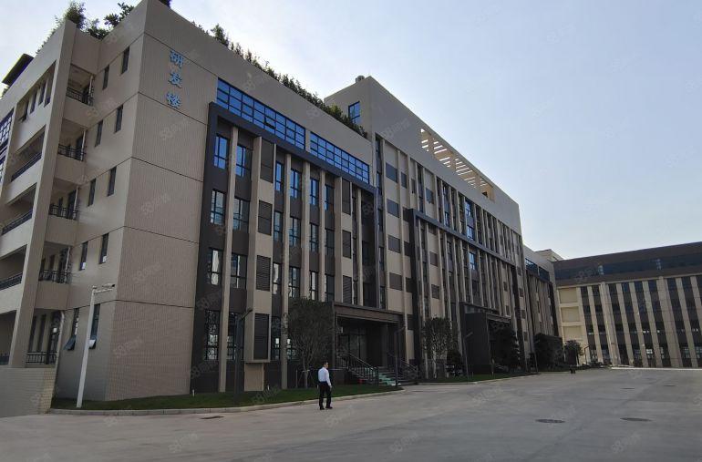 10元起仲恺陈江60000平原房东全新红本厂房仓库出租可环评