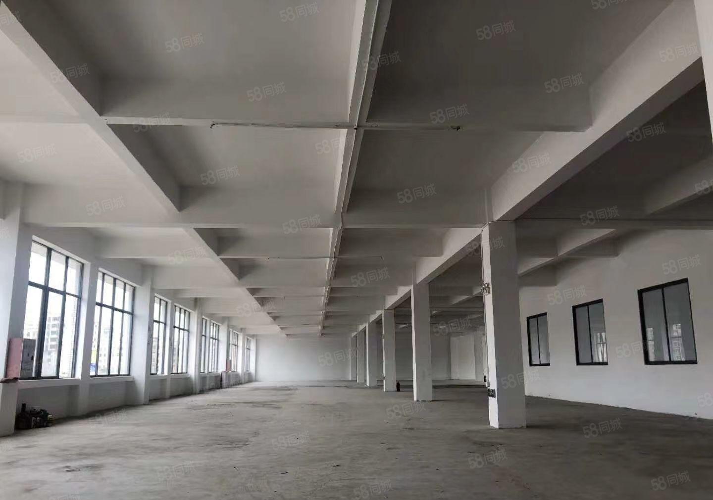 惠环西坑标准厂房出租 2000平 750平方 带货梯