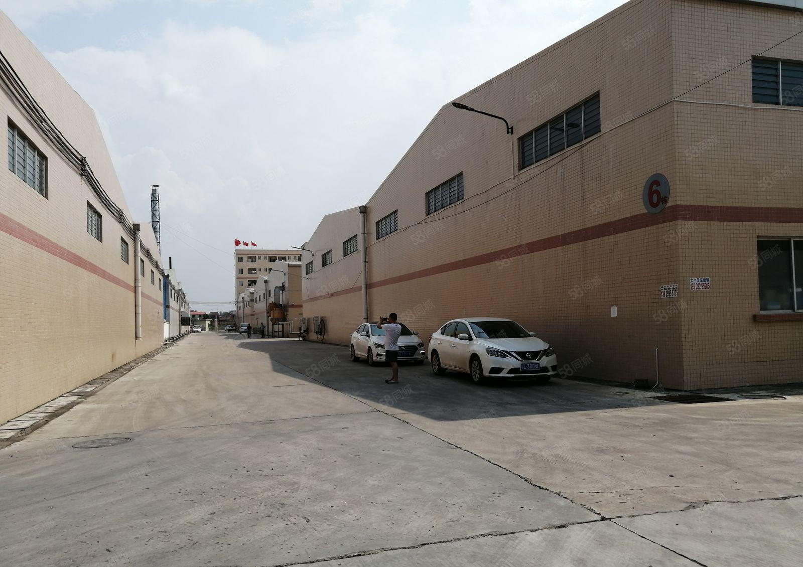 仲恺沥林9米高2600平原房东钢构厂房仓库出租可办环评可分租